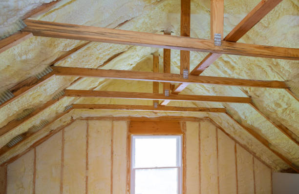 Best Insulation Maintenance and Repair in Lake Shore, MN