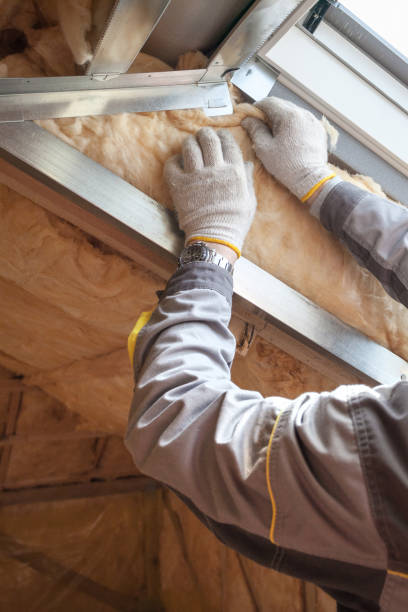 Best Types of Insulation in Lake Shore, MN