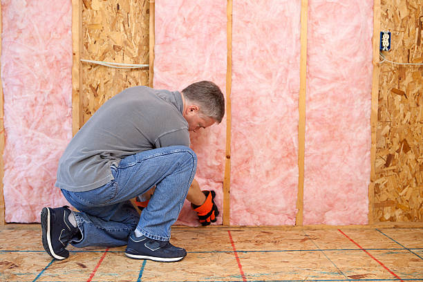 Best Specialty Insulation in Lake Shore, MN