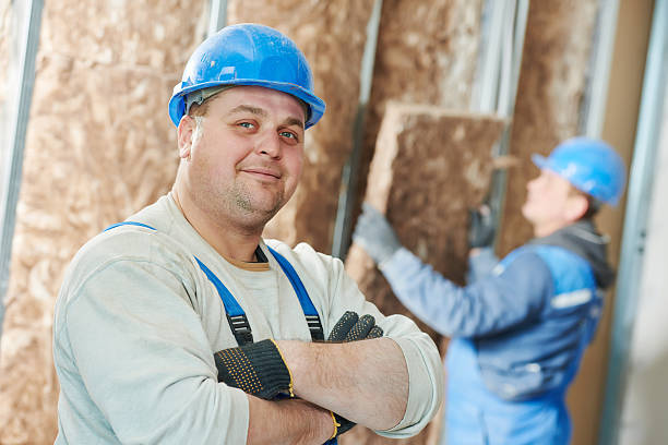 Best Insulation Installation Services in Lake Shore, MN