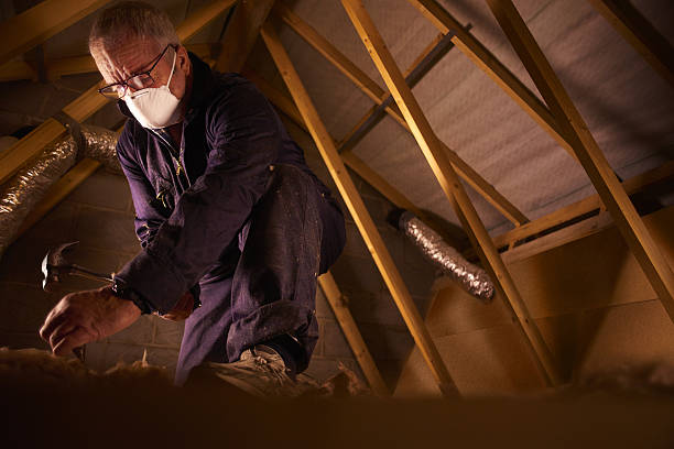 Best Commercial Insulation in Lake Shore, MN